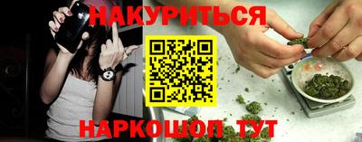 шишки Канаш