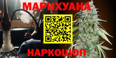 шишки Канаш