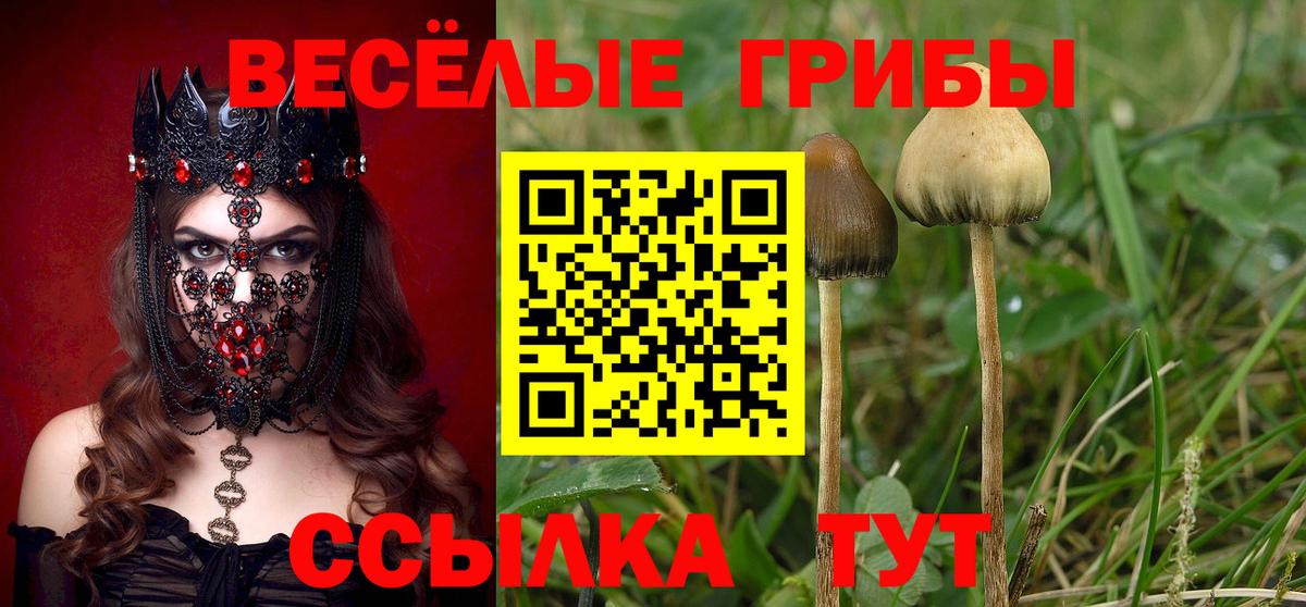 Галлюциногенные грибы мухоморы  Вход с VPN  Дзержинск  Галлюциногенные грибы Magic Shrooms 